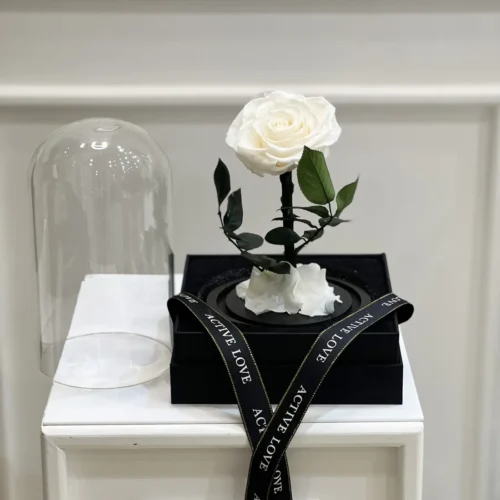 Forever White Roses