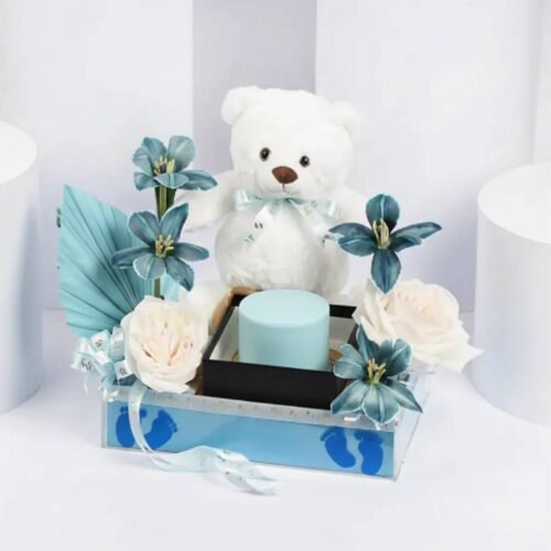 Welcome-to-the-World-Little-Boy (1)