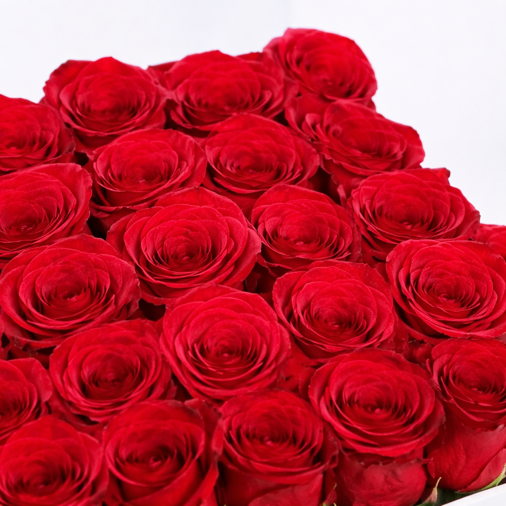 Classic Red Roses Arrangement In White Box – Roses & Chocolates by Warda Petals