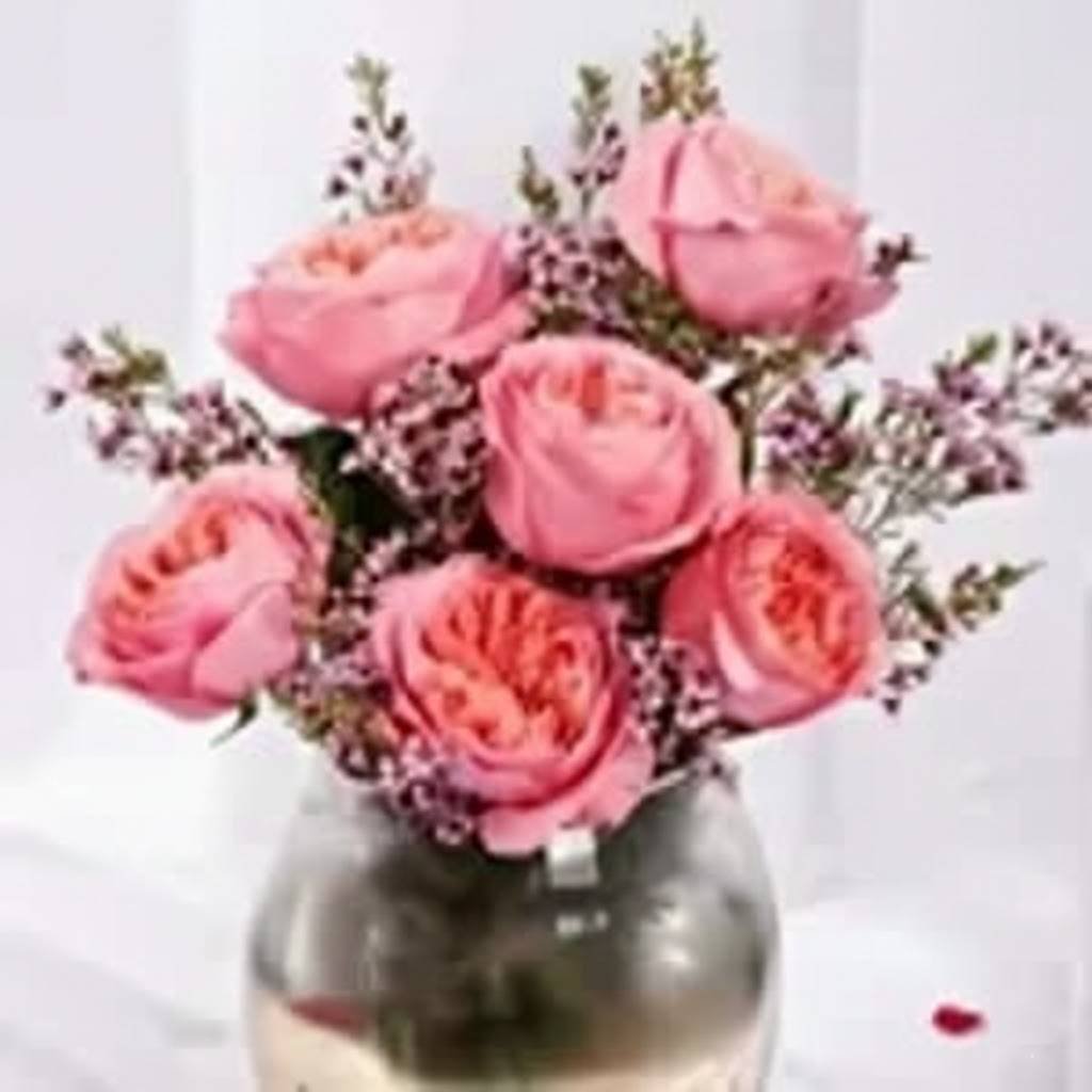 Pink Roses Arrangement in Premium Vase by Warda Petals