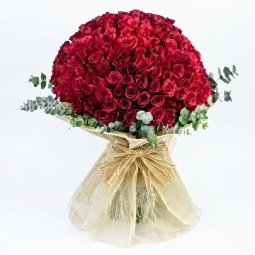 100 Roses Grand Expressions by Warda Petals