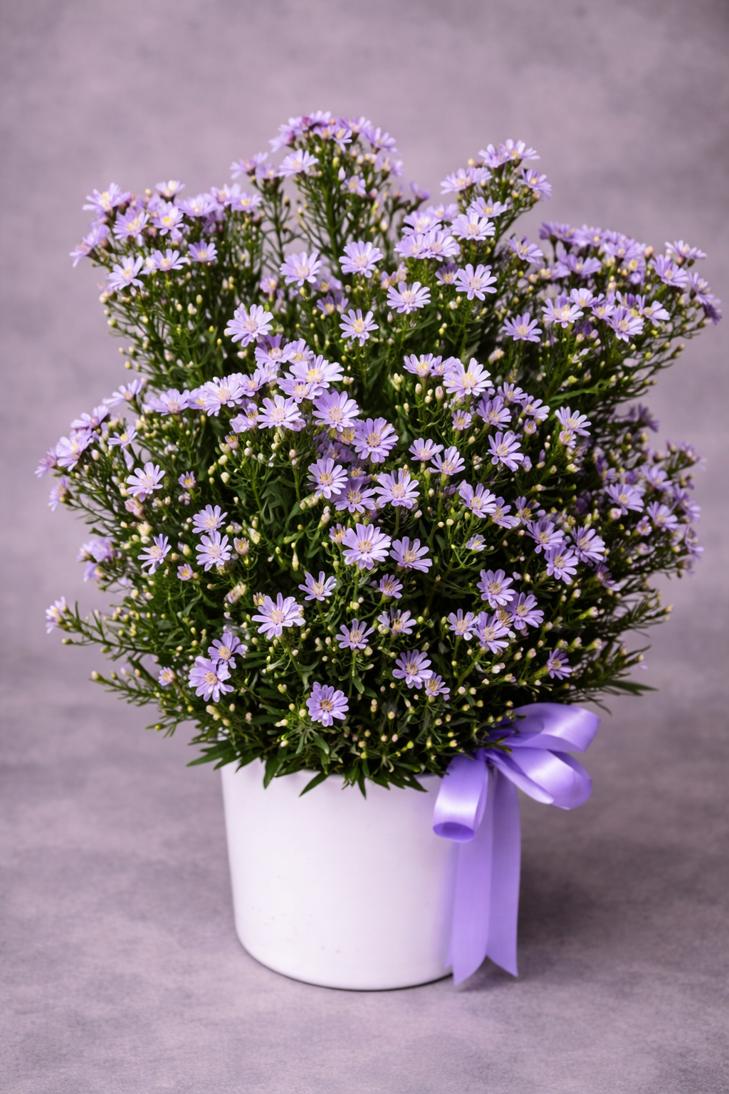 Aster Floral Arrangement – Purple Blooms in White Pot