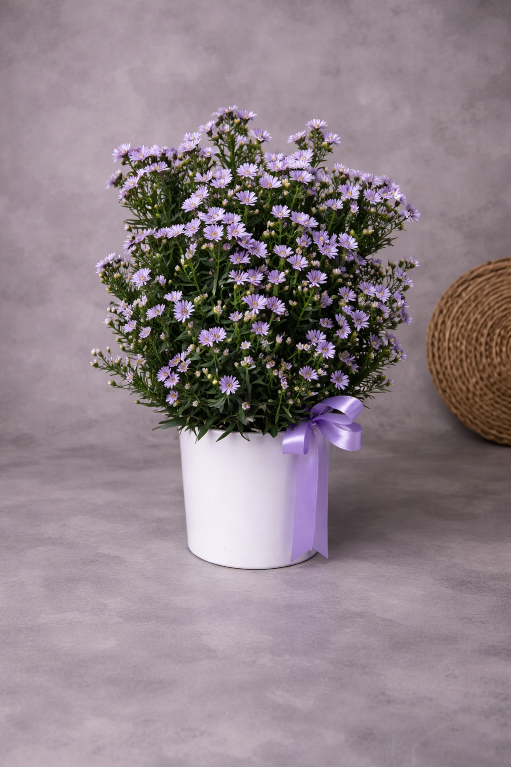 Aster Floral Arrangement – Purple Blooms in White Pot