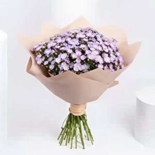 Aster Flowers Bouquet by Warda Petals