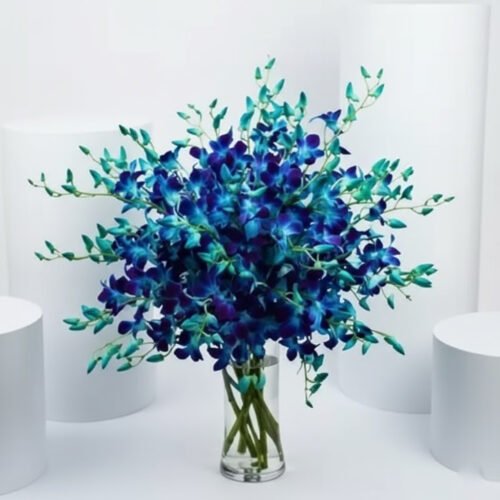 Blue and Purple Orchid Flower Arrangement by Warda Petals