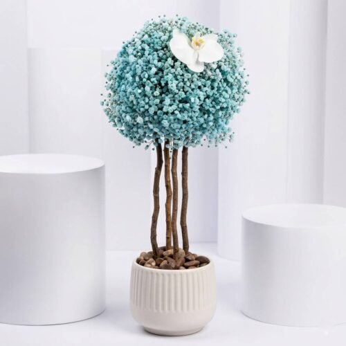 Butterfly n Blue Sky Gypso Arrangement – Blue Gypsophila & Phalaenopsis Ceramic Pot Design by Warda Petals