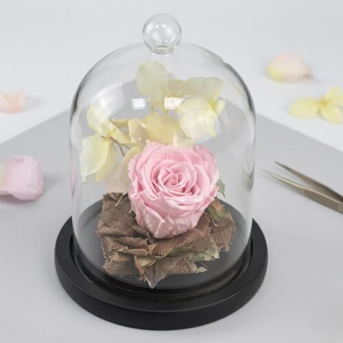 Graceful Pink Forever Rose in Glass Dome