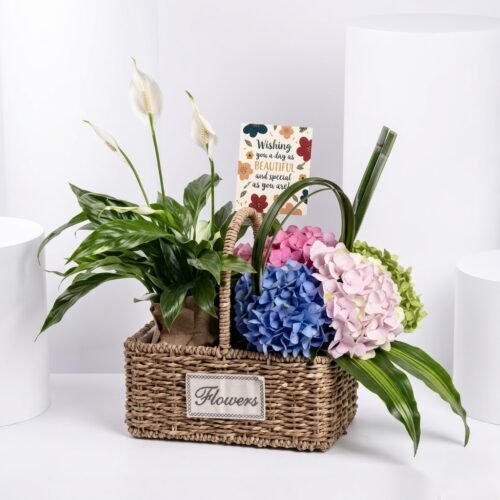 Grandparents Day Wishes Flowers & Plant Basket – Hydrangea & Indoor Plant Arrangement