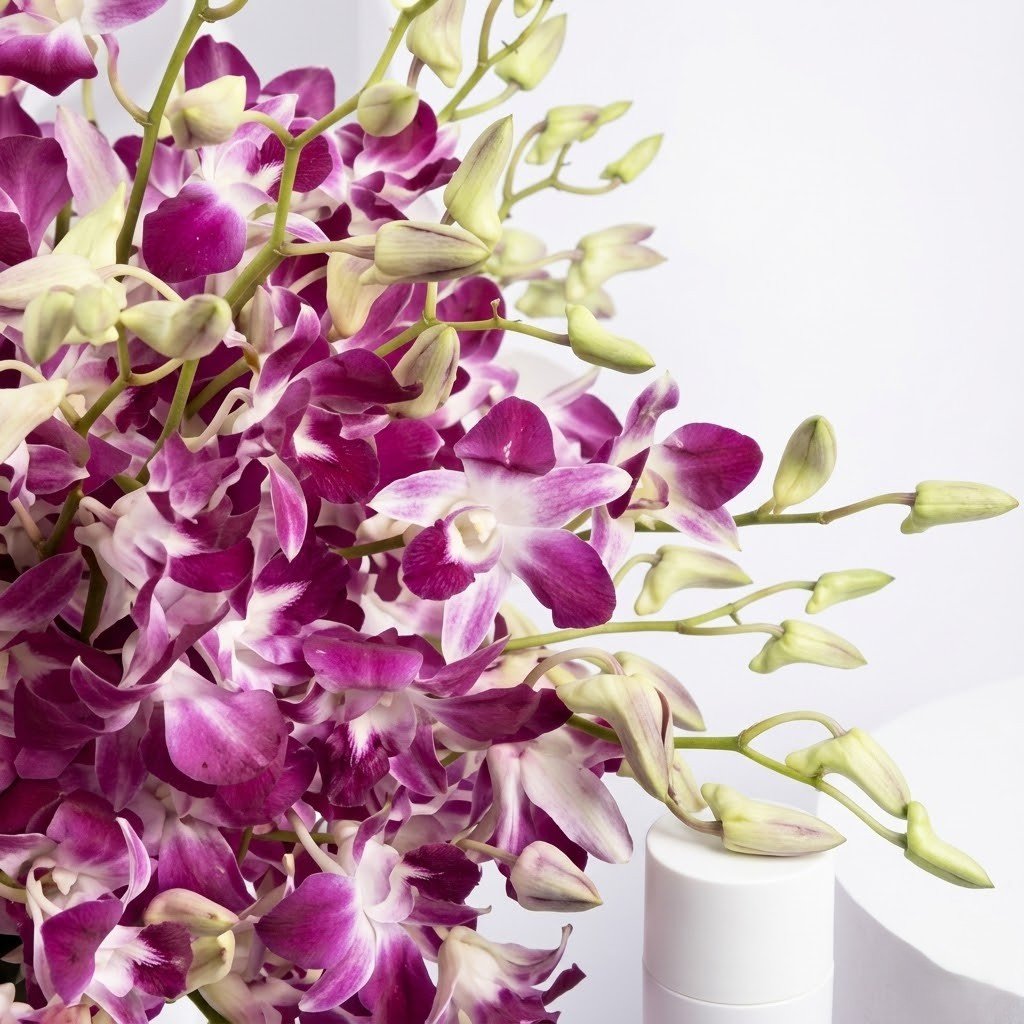 Pink Orchid Flower Arrangement – Elegant Pink Orchids in Vase