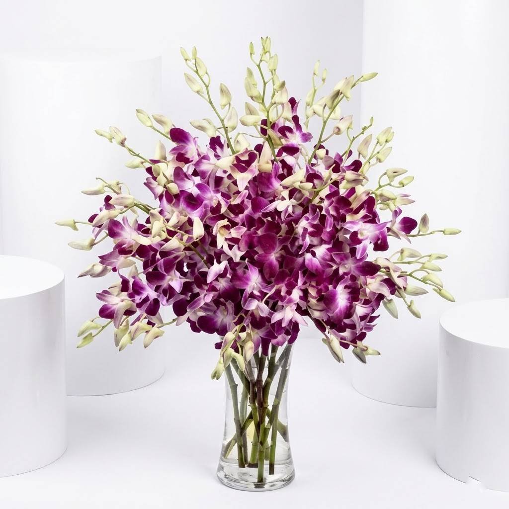 Pink Orchid Flower Arrangement – Elegant Pink Orchids in Vase