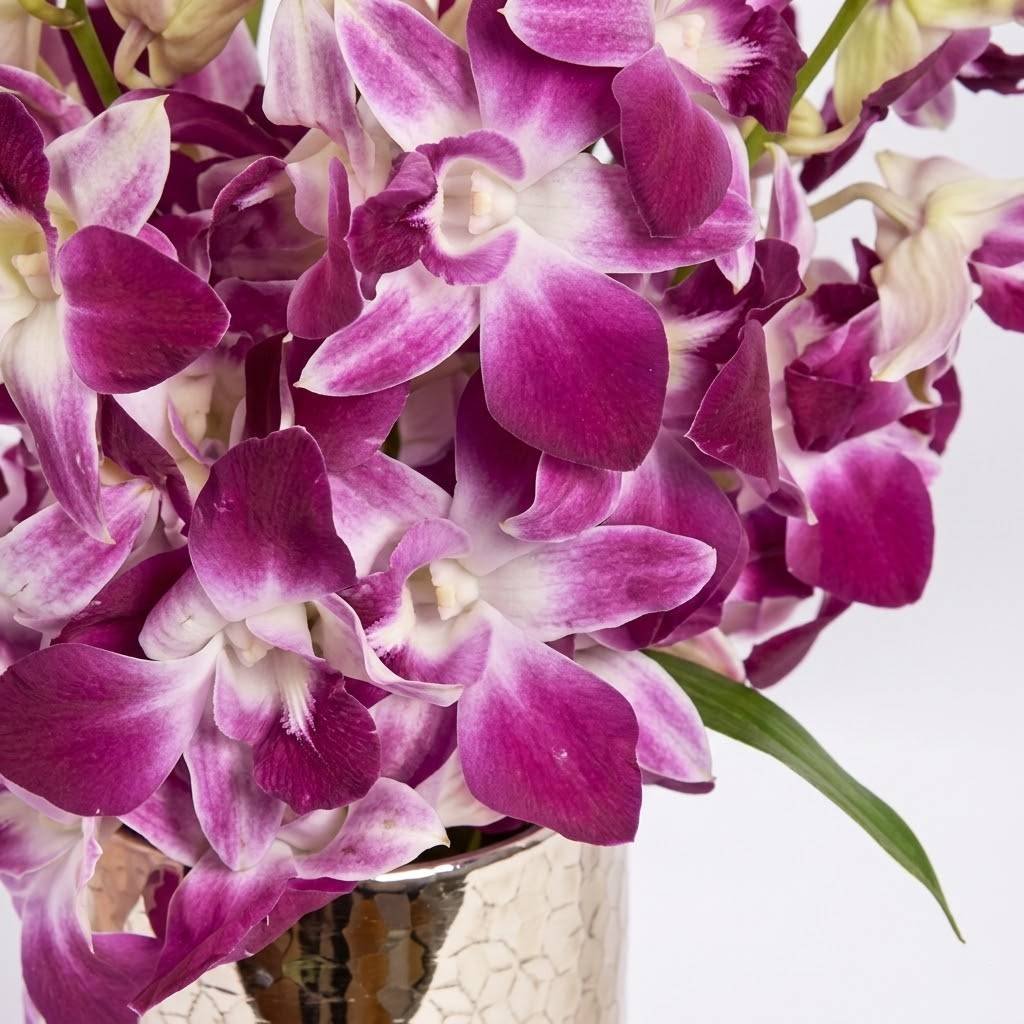 Pink Orchids in Glass Vase – Purple Dendrobium Arrangement by Warda Petals