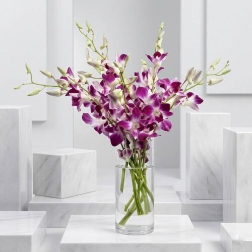 Pink Orchids in Glass Vase – Purple Dendrobium Arrangement by Warda Petals