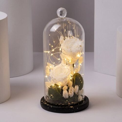 White Eternal Rose In A Glass Dome – By Warda Petals