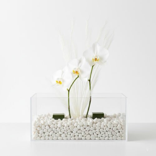 White Flowers Acrylic Box by Warda Petals