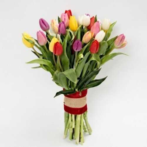 25 Vibrant Tulips Bunch – Colorful Mixed Tulips Bouquet