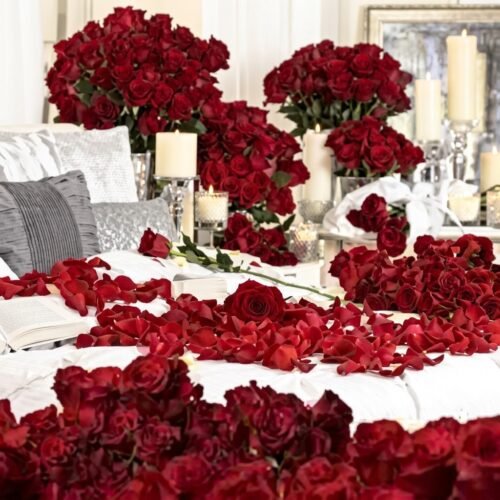 300 Red Roses & Candle Decor – Dreamy Romantic Setup
