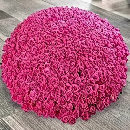 500 Dark Pink Roses – Luxury Romantic Arrangement