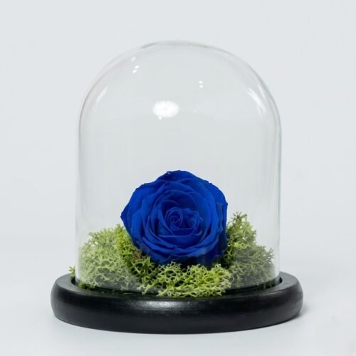 Elegant Blue Preserved Rose – Timeless Floral Gift