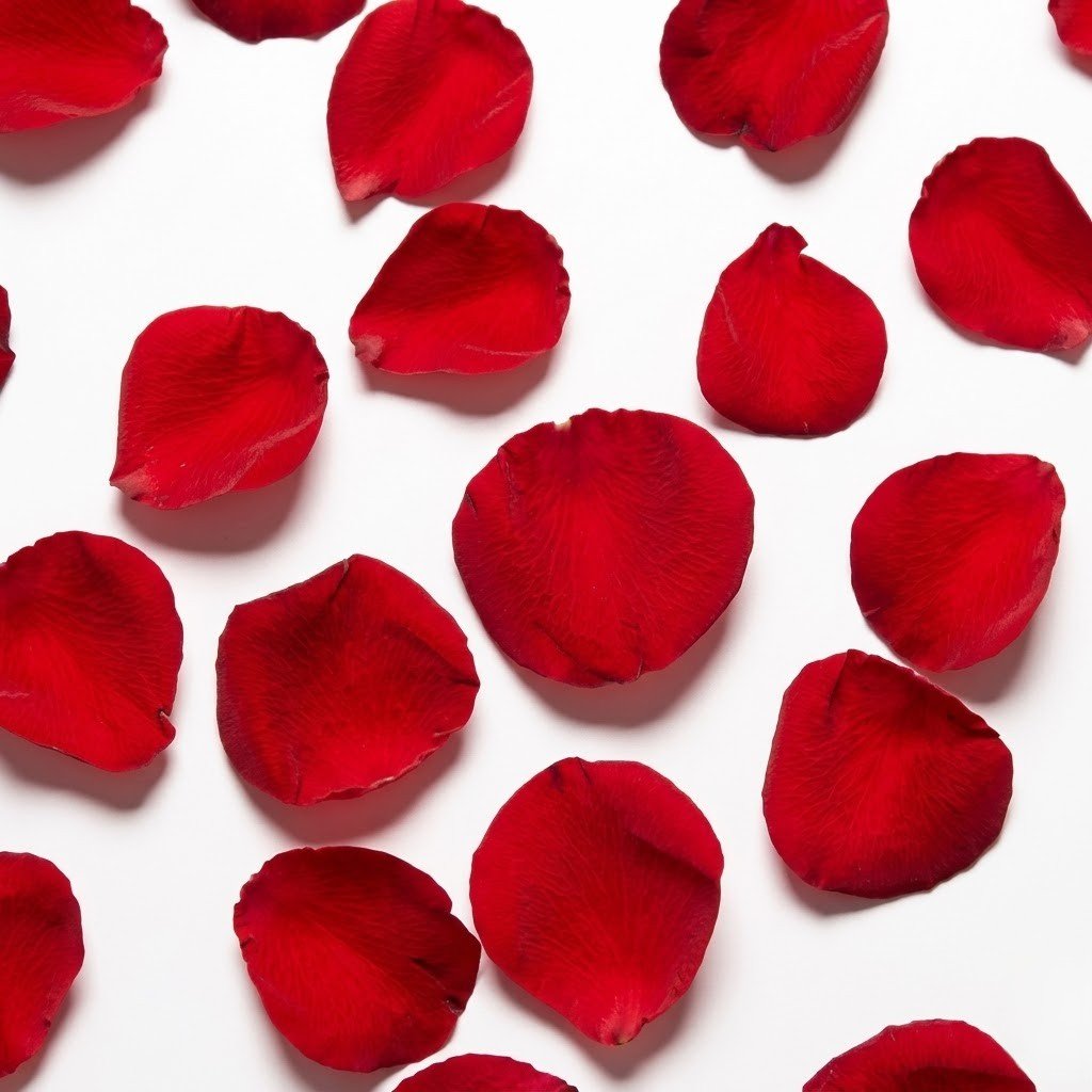 Half Kg Red Rose Petals – Fresh Floral Décor