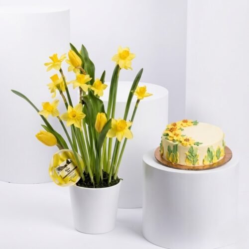 Smiles Birthday Wishes Flowers & Cake Combo – Cheerful Celebration Gift